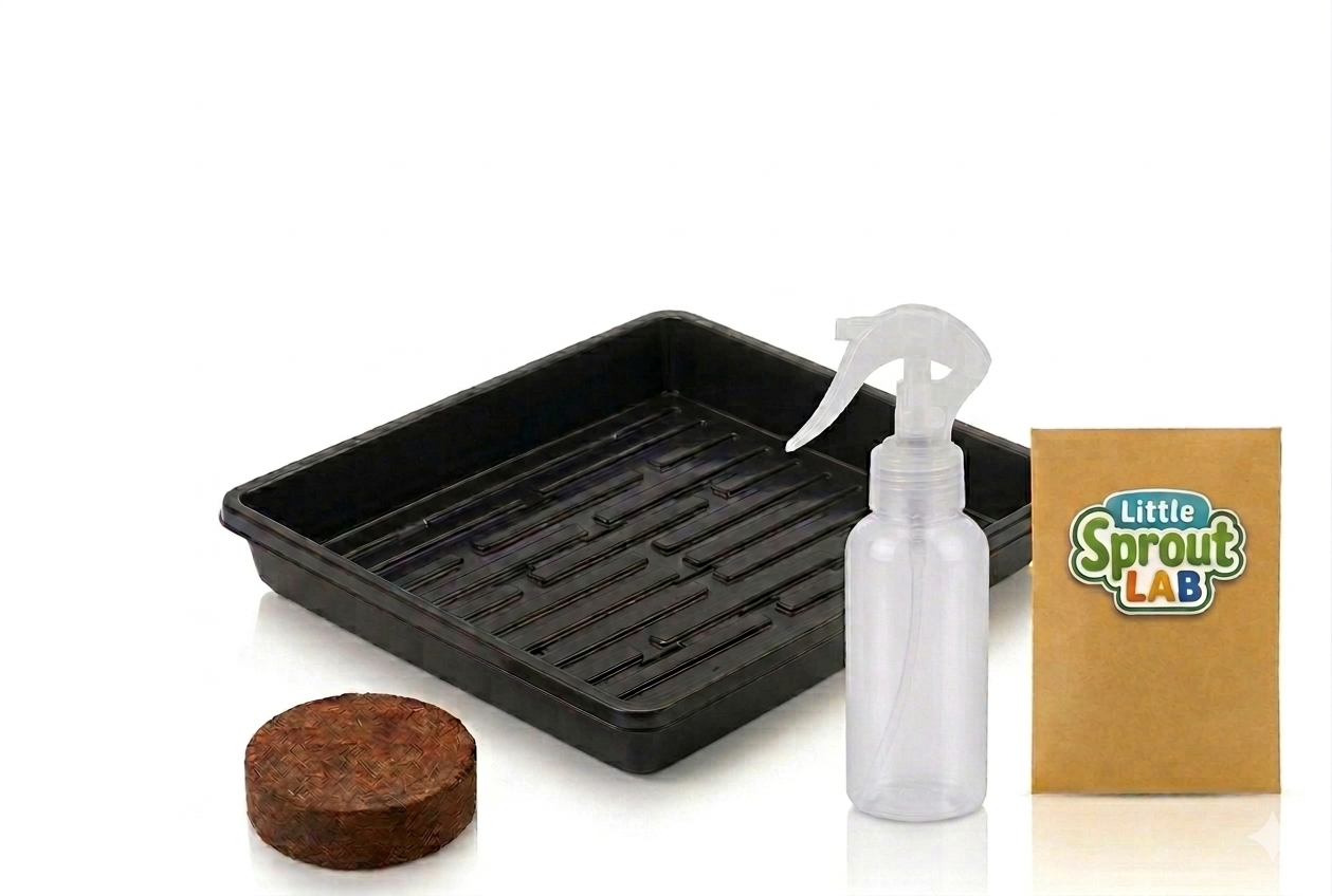 Little Sprout Lab Starter Kit + 3 Month Subscription