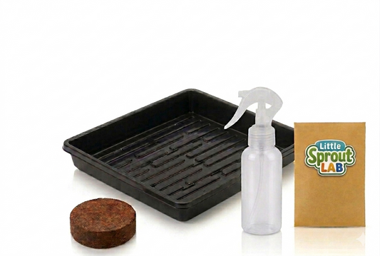 Little Sprout Lab Starter Kit